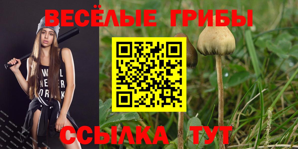 Псилоцибиновые грибы мицелий Кушва